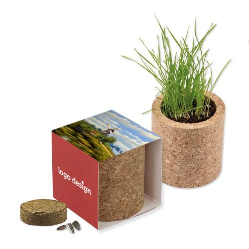 Kork plantekit - Billede 1